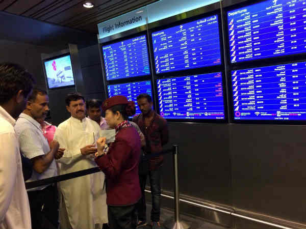 நியூசிலாந்து கருத்து