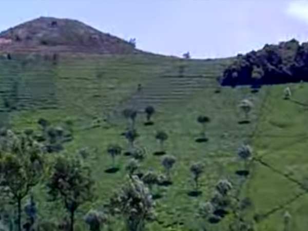 ஓம் பகதூர் சந்தேகம்