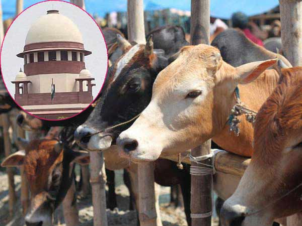 வருமா சிறப்பு தீர்மானம்