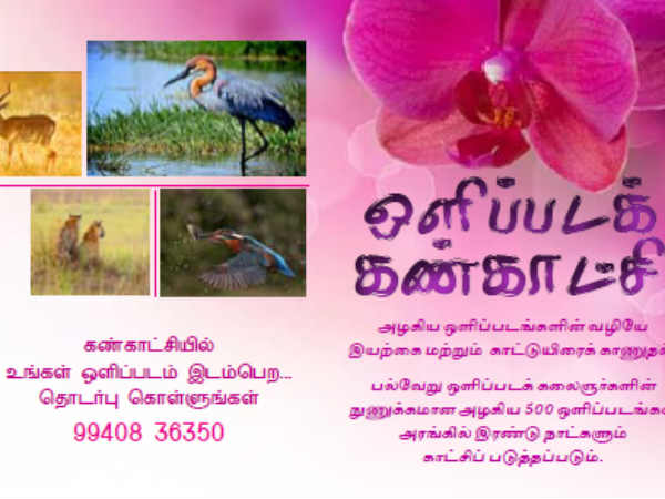5 அமர்வுகள்