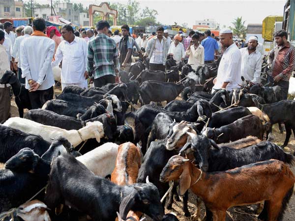 வெள்ளிக்கிழமைதோறும்...