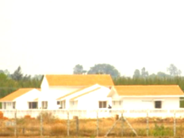 எலும்புக் கூடு