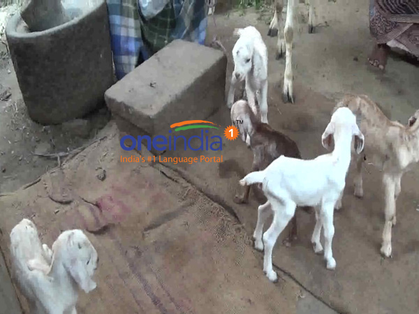 யாருக்காக இந்த அரசு