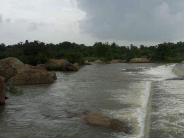 அணைகளின் நீர்மட்டம்