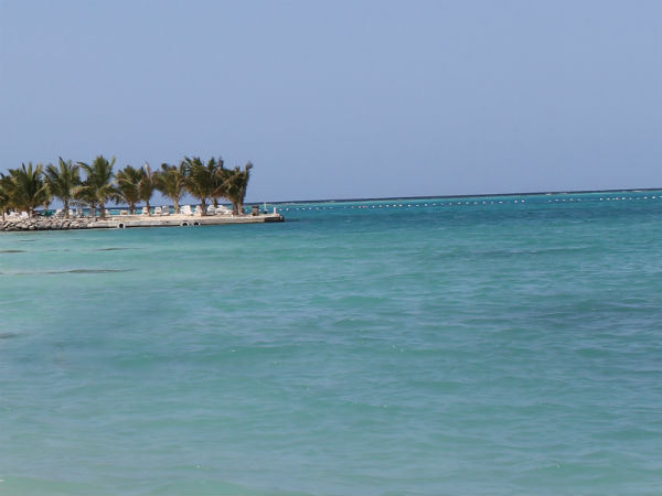 Indian Girl Dies of Heart Attack at Half Moon Beach in Saudi Arabia Indian Girl Dies of Heart Attack at Half Moon Beach in Saudi Arabia