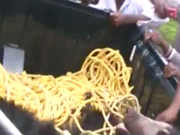 Bear entered into kotagiri tea estate and people frightened Bear entered into kotagiri tea estate and people frightened