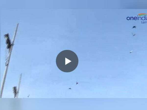 Karur Dove Race Karur Dove Race