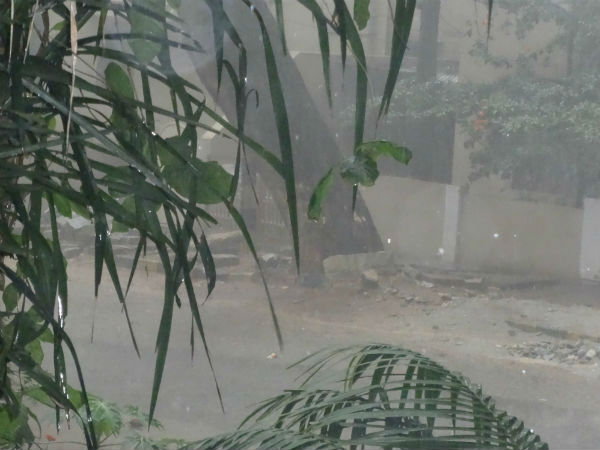 Heavy rainfall in Nilgris Heavy rainfall in Nilgris