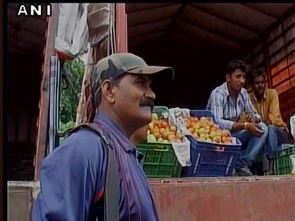 Men with arms guard tomatoes at Indore vegetable market Men with arms guard tomatoes at Indore vegetable market