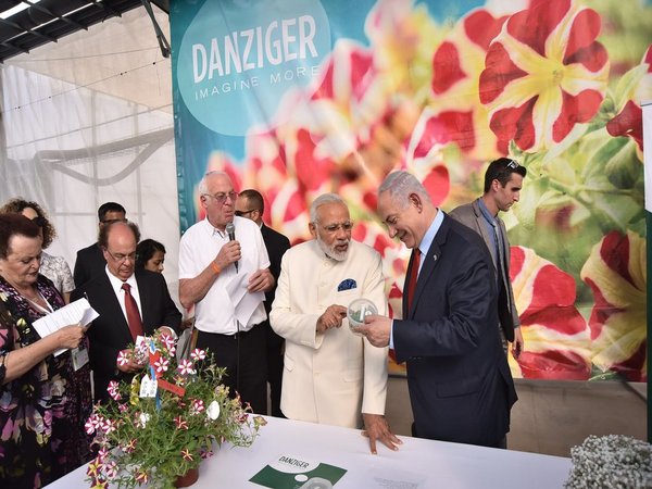 Flower breed named after Modi in Israel Flower breed named after Modi in Israel
