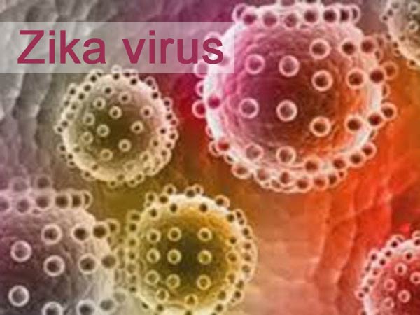 Including Tamil Nadu 4 have been suffered by the zika virus : union minister Including Tamil Nadu 4 have been suffered by the zika virus : union minister