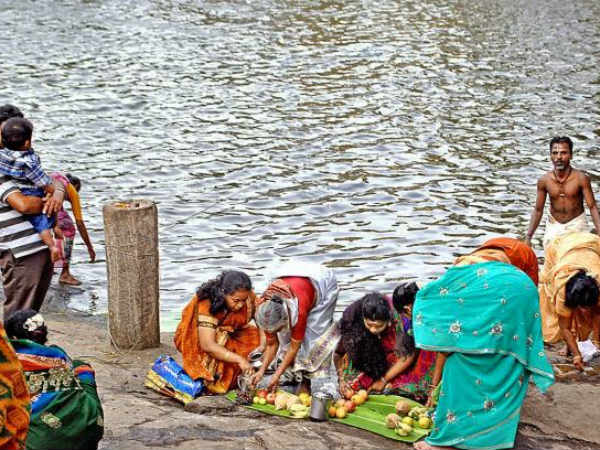 காவிரி டெல்டாவில் களையில்லை