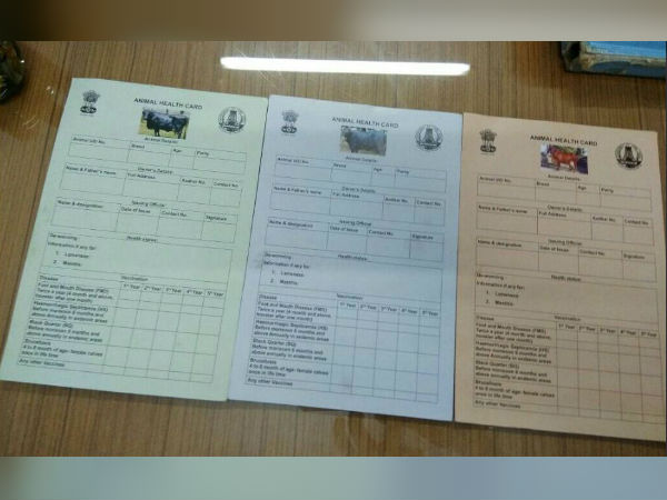கௌஆதார் பணி தொடக்கம்