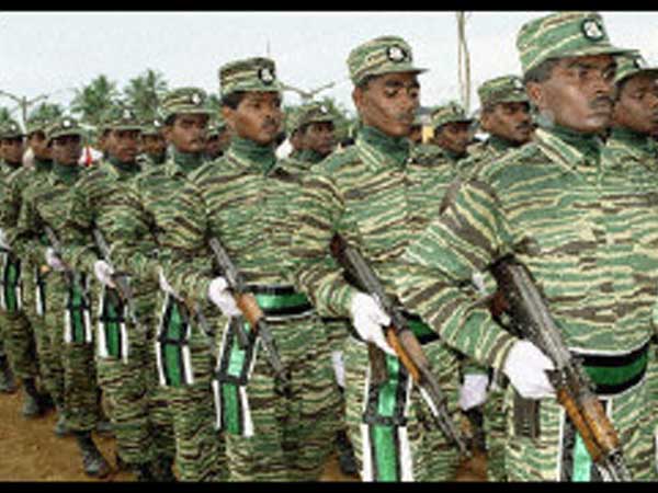 புலிகளுடன் அதிக அனுபவம்