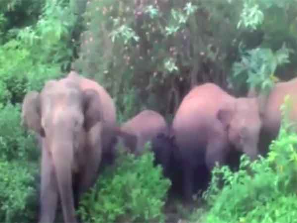 இந்தியாவில் முதல்முறை
