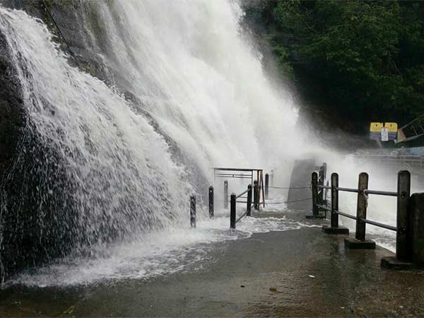 அருவிகளில் குளிக்க தடை