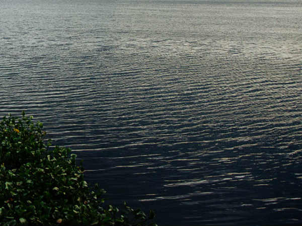 Heavy rains in Tiruvallur district, Vellanur Lake Broken Heavy rains in Tiruvallur district, Vellanur Lake Broken