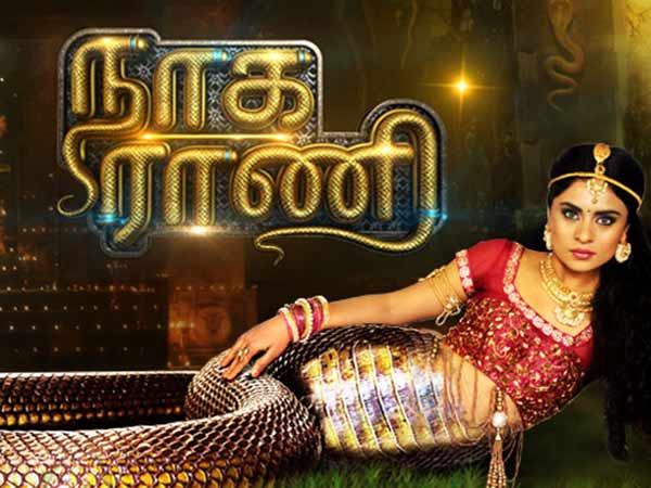 நடவடிக்கை எடுக்க உத்தரவு