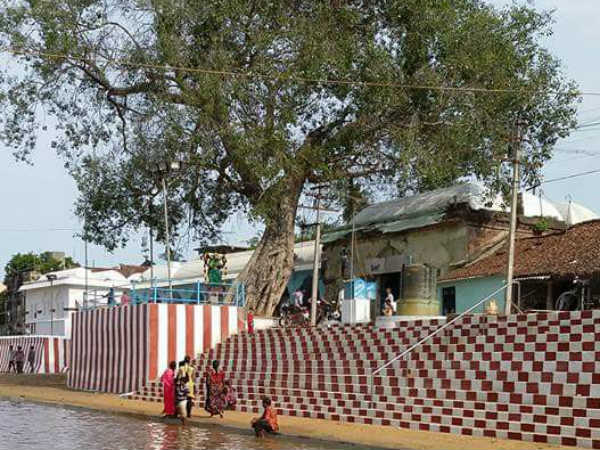 செல்வம் பெருகும்