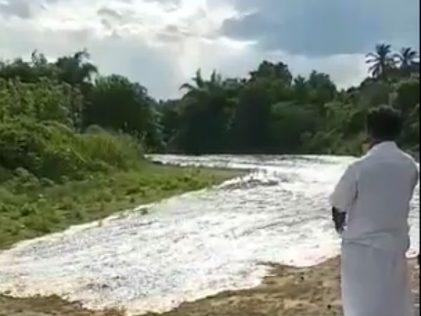 நடந்தாய் வாழி காவிரி