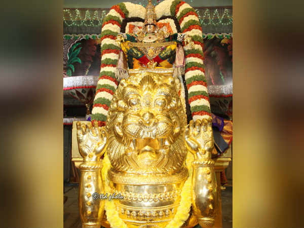சிம்ம வாகனத்தில் பவனி