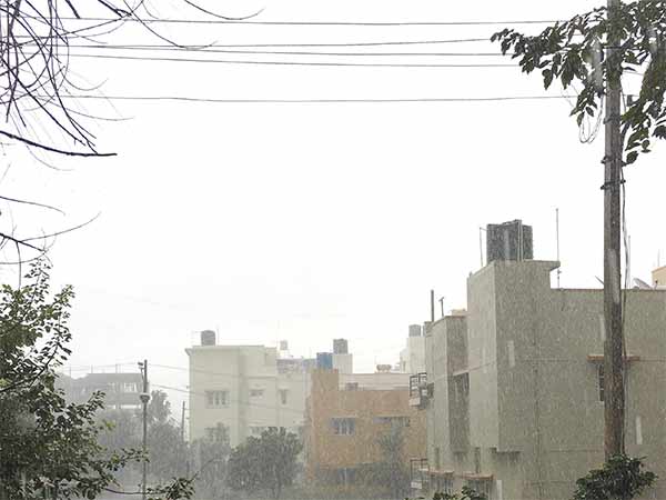 Rain lashes Bengaluru since midnight Rain lashes Bengaluru since midnight