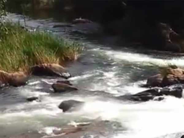 Heavy rain in Nellai: water levels of Dams are high Heavy rain in Nellai: water levels of Dams are high