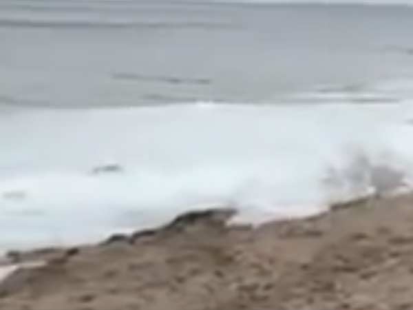 Fishermen found unidentified object in the sea Fishermen found unidentified object in the sea