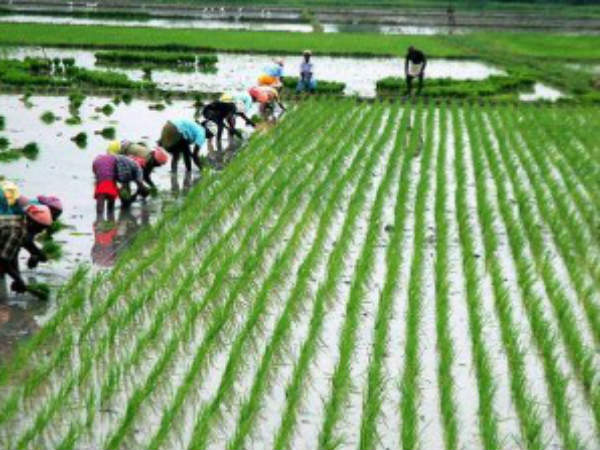 ஜெயலலிதா விவசாயிகளுக்கு சலுகைகள்!