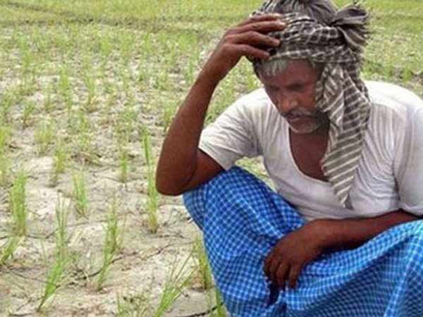 விவசாயிகள் தொடர் மரணம்