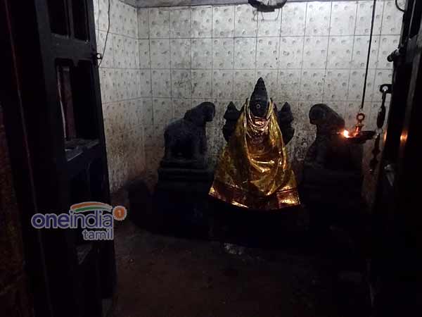 மகரிஷியிடம் வளர்ந்த மகாலட்சுமி