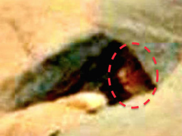 செவ்வாய் பற்றி அறிக்கை