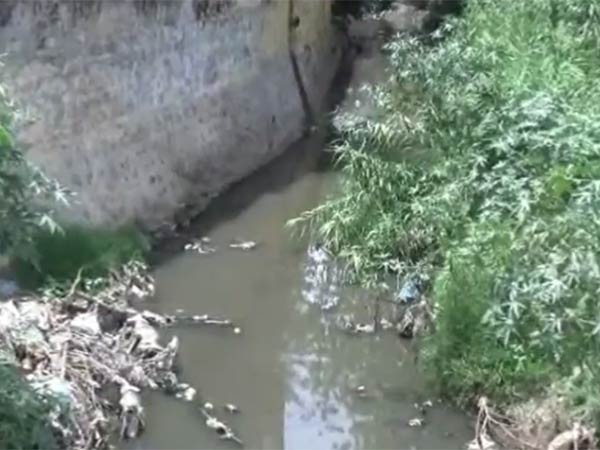 சுற்றுச் சூழல் பாதுகாப்பு