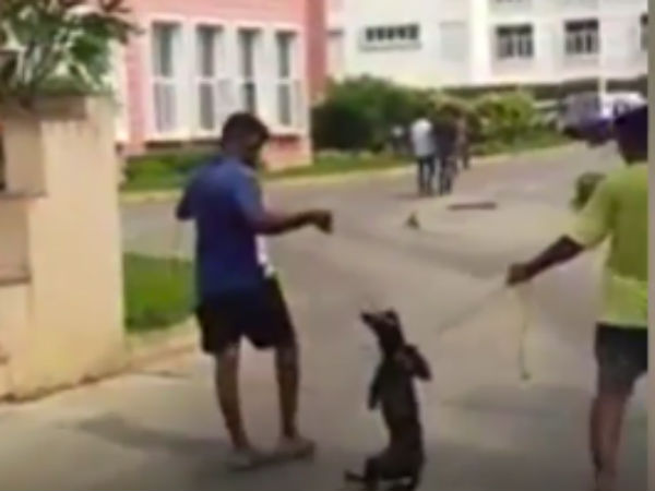 ஊழியர்களுக்கு அனுபவம் இல்லை