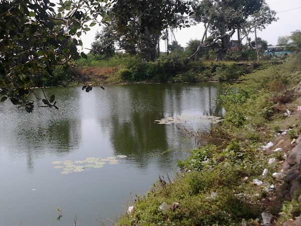 ஆஜராக வேண்டாம்