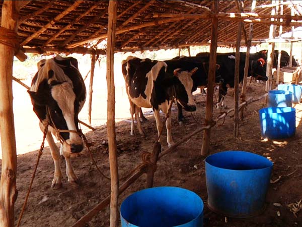 கடைகளில் புதுக்கணக்கு