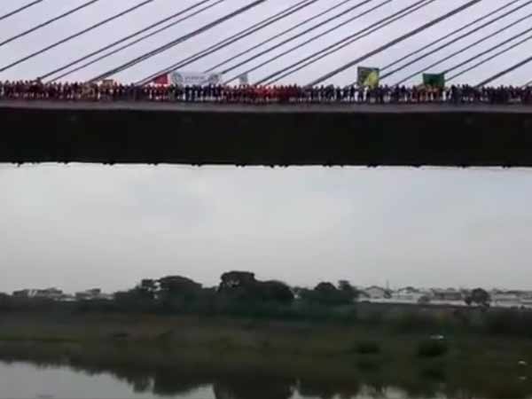 245 people jumped off together from a bridge in Brazil ! 245 people jumped off together from a bridge in Brazil !