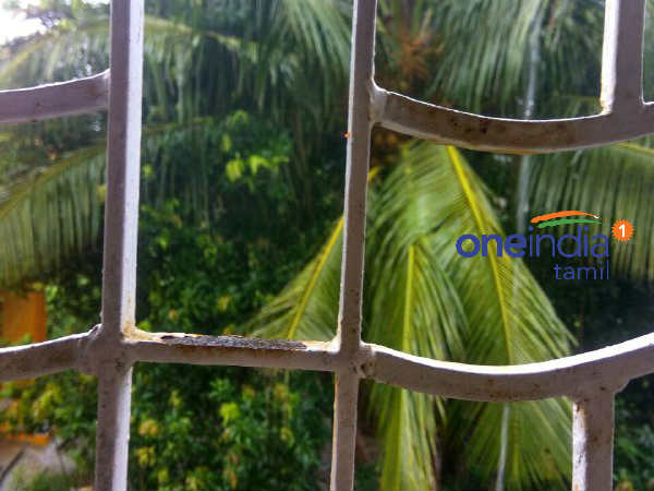 வெளுத்து வாங்கும் மழை
