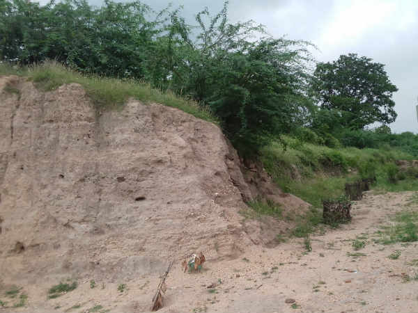 மதுரை மீனாட்சி அம்மன் கோவிலில்