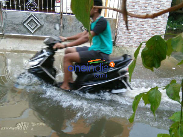 தரமணியில் 19 செ.மீ மழை