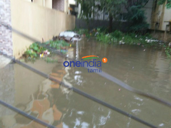 அரசு செயல்பட வேண்டும்