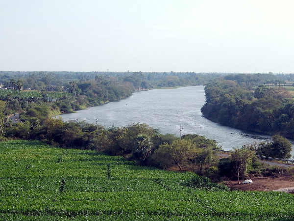 பக்கிங்காம் “ஓடை”