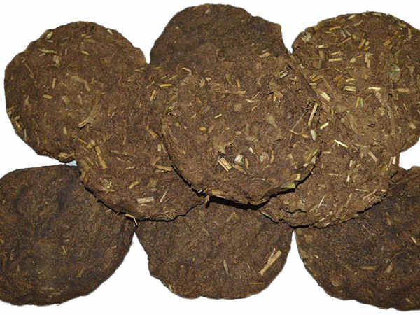 Amazon sales cow dung cake Amazon sales cow dung cake