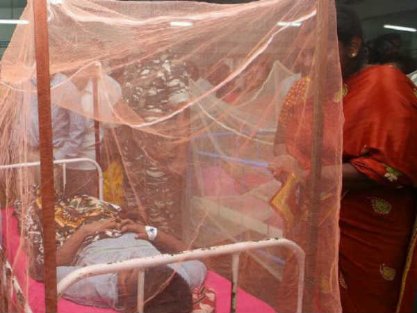 5 were died of Viral fever in TN 5 were died of Viral fever in TN