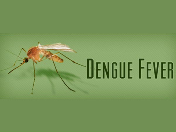 Dengue fever for Bridegroom in Villupuram: Marriage postponed Dengue fever for Bridegroom in Villupuram: Marriage postponed