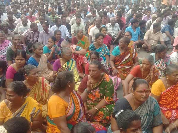 Buses damaged in stone-throwing in Chennai Kasimedu Buses damaged in stone-throwing in Chennai Kasimedu
