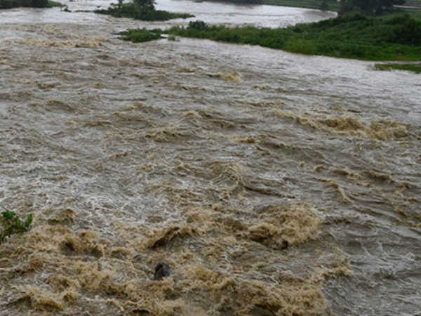 Bridge in Trichy washed out of flood in river Bridge in Trichy washed out of flood in river