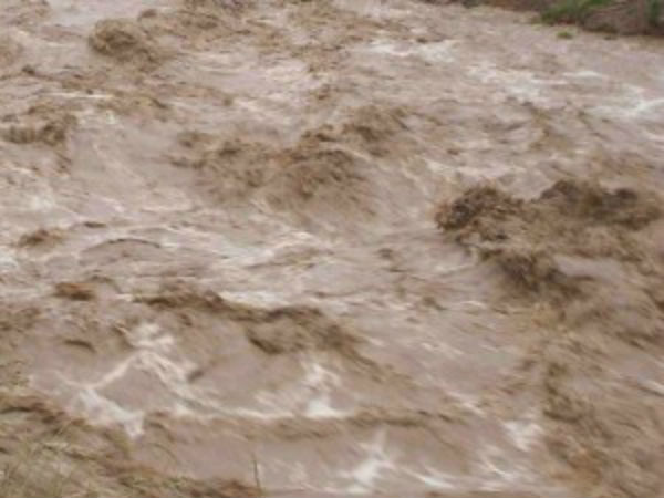 Four killed from a single family in a flood in the Kosastalai river near Thiruvallur Four killed from a single family in a flood in the Kosastalai river near Thiruvallur