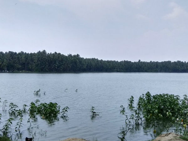 Kanyakumari many pools getting more water from #Rain Kanyakumari many pools getting more water from #Rain