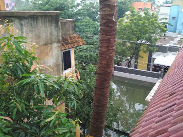Chennai Netizens do sharing flood picture and video Chennai Netizens do sharing flood picture and video